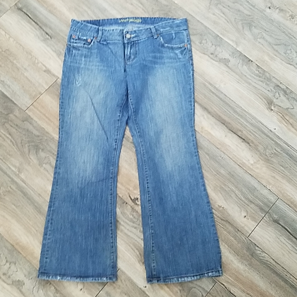 American Eagle AE Artist